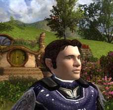 Monro Volunteer Assistant Chief